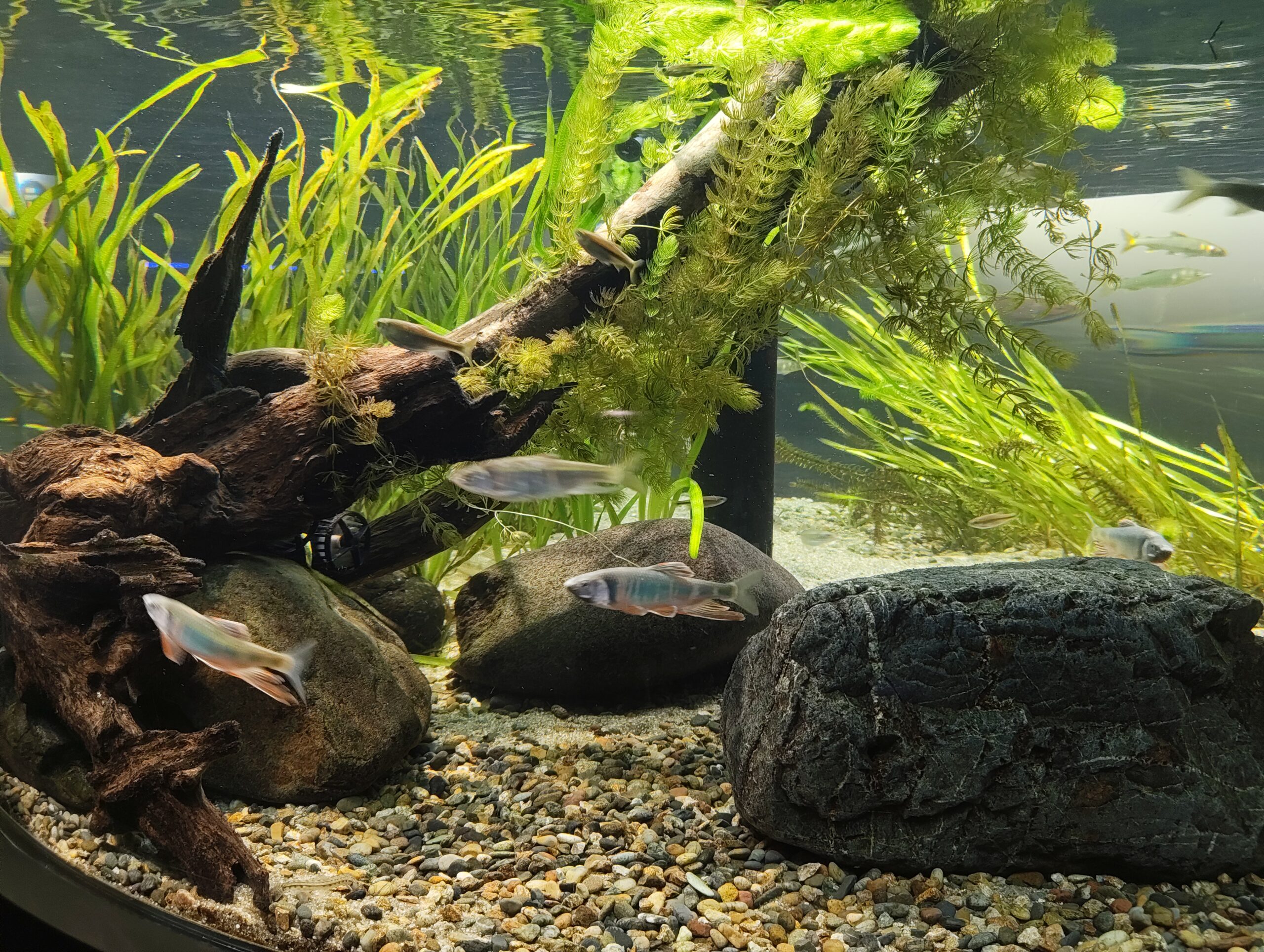 都市型水族館ならではの楽しみ方