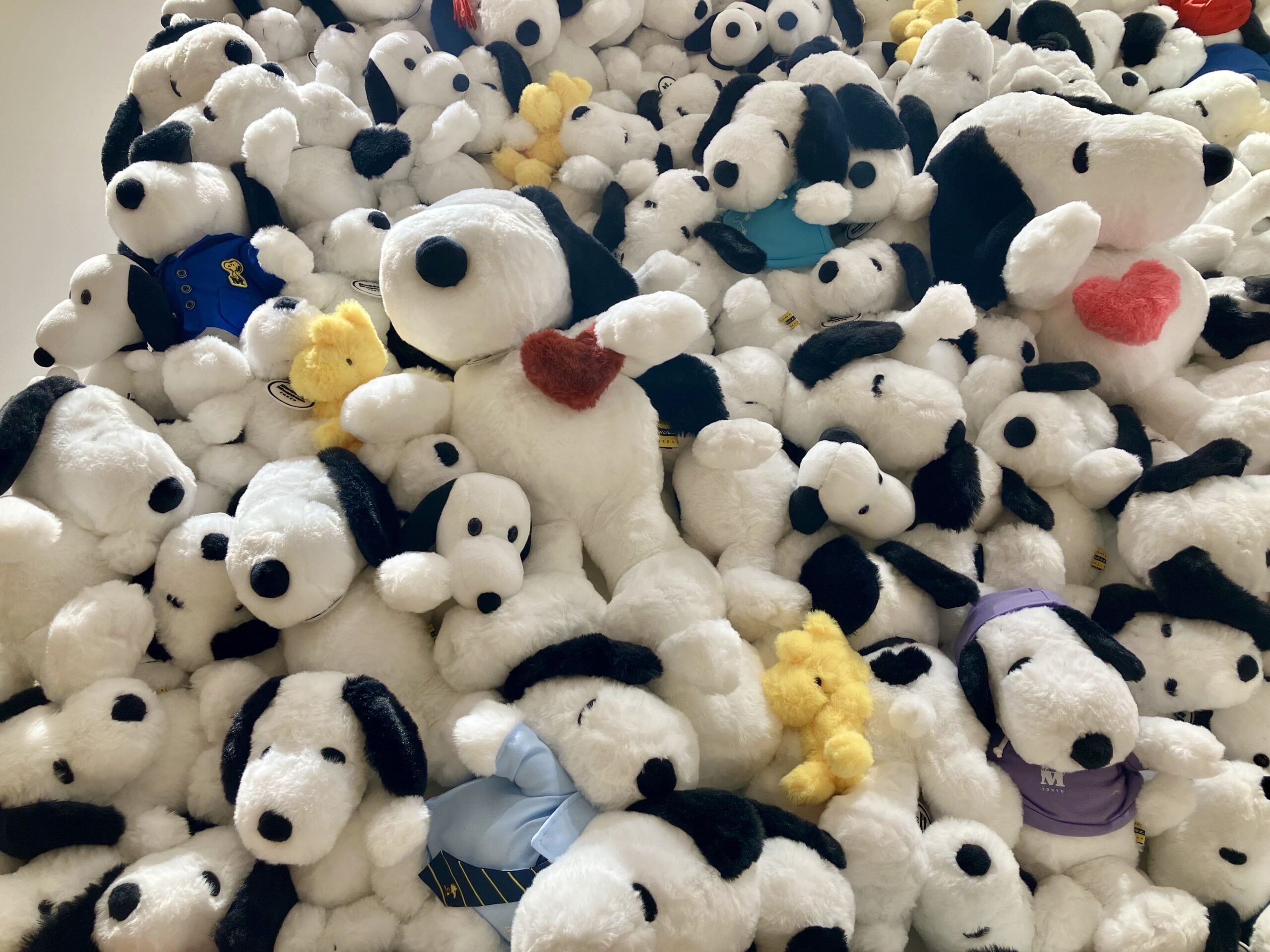 壁一面のスヌーピー