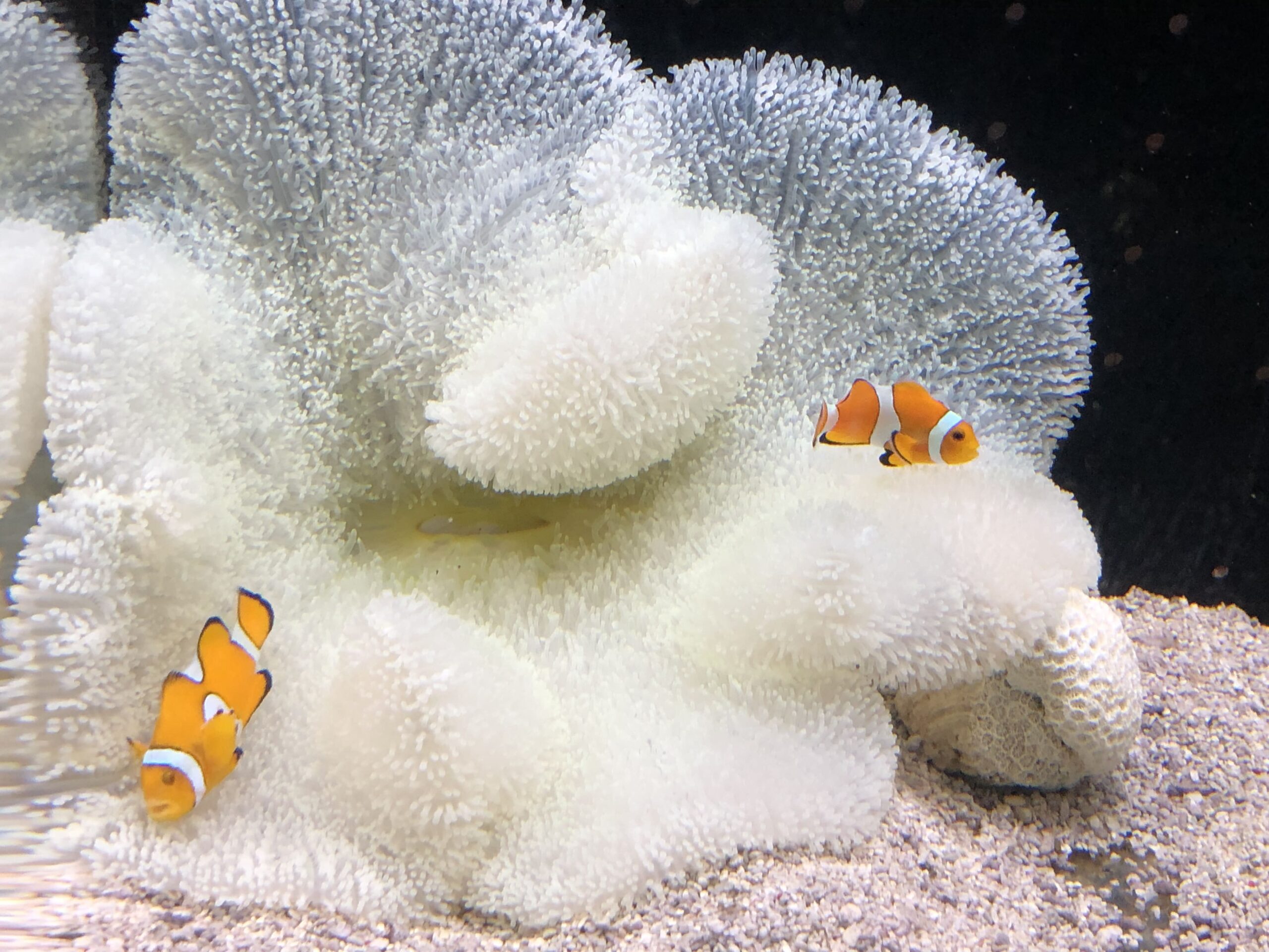 まとめ:ビビリも悪くない