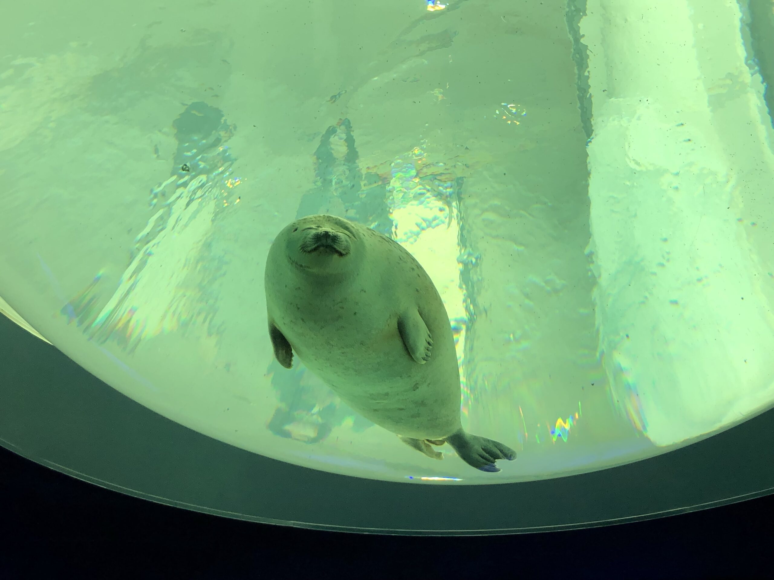 落ち込んだ時の気持ちの上げ方