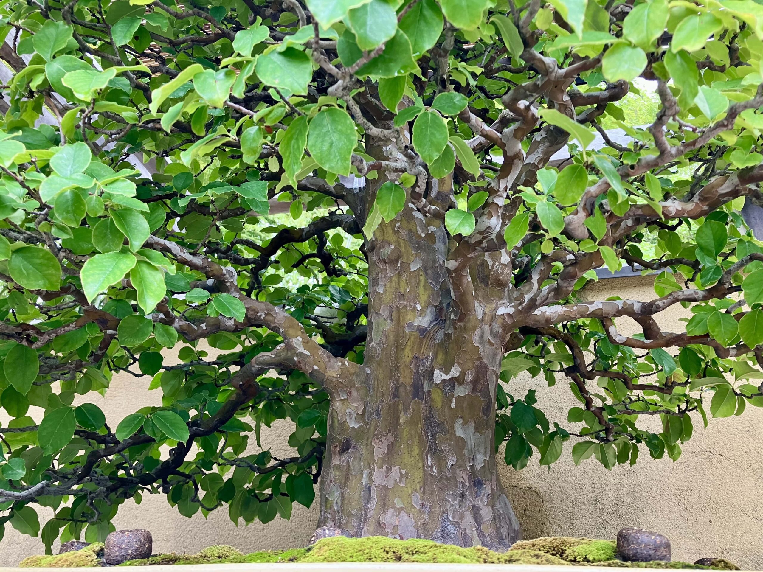 まとめ:今年も一年ありがとうございました