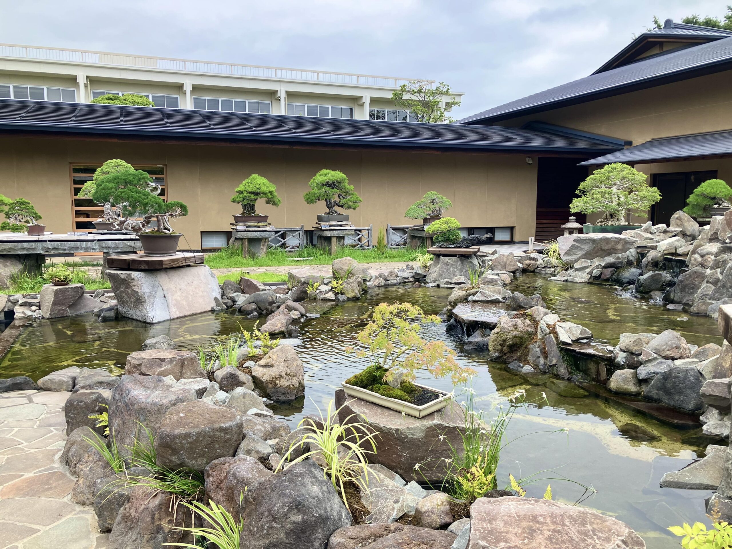 大宮盆栽美術館