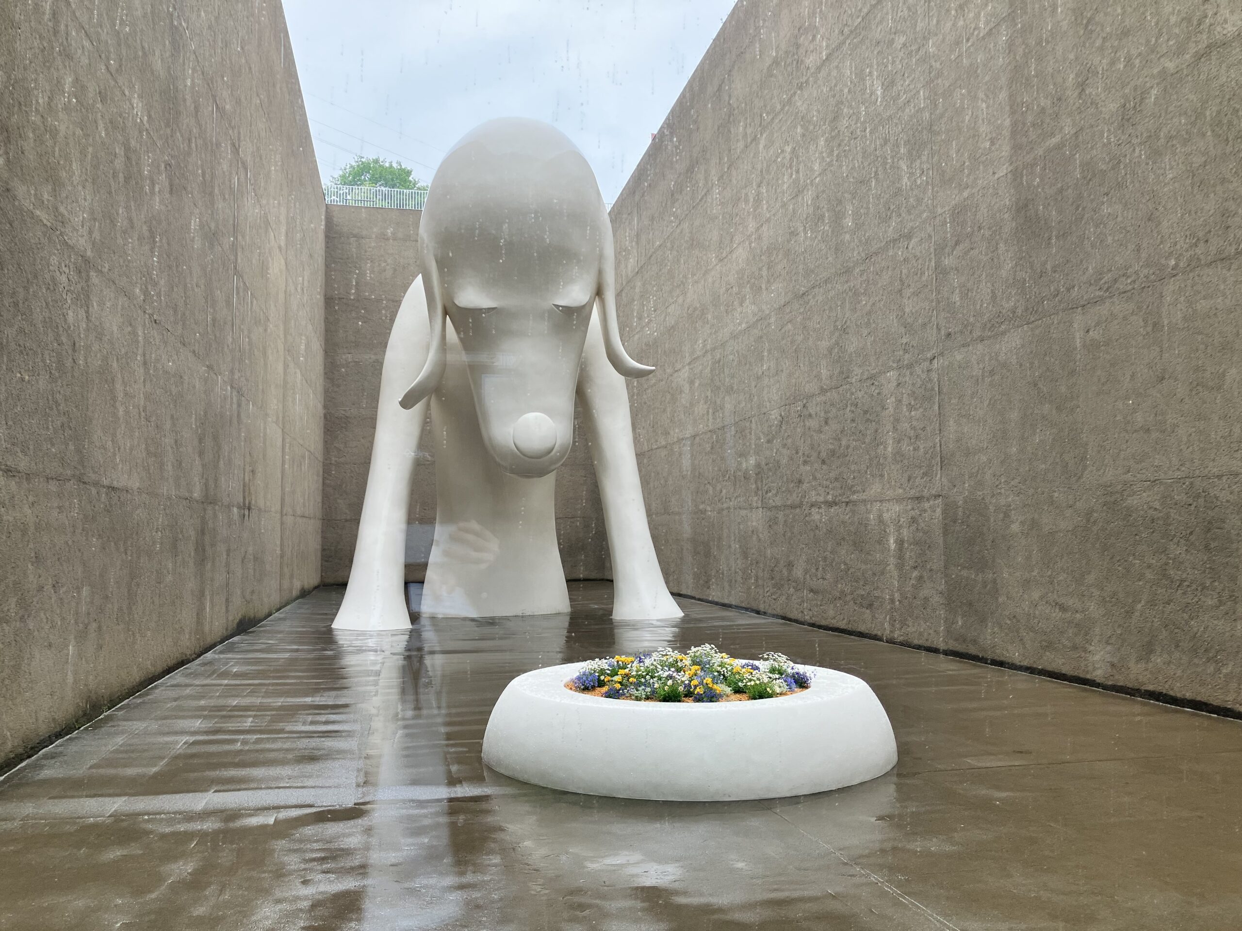 オタクがミニマリストを目指したきっかけ