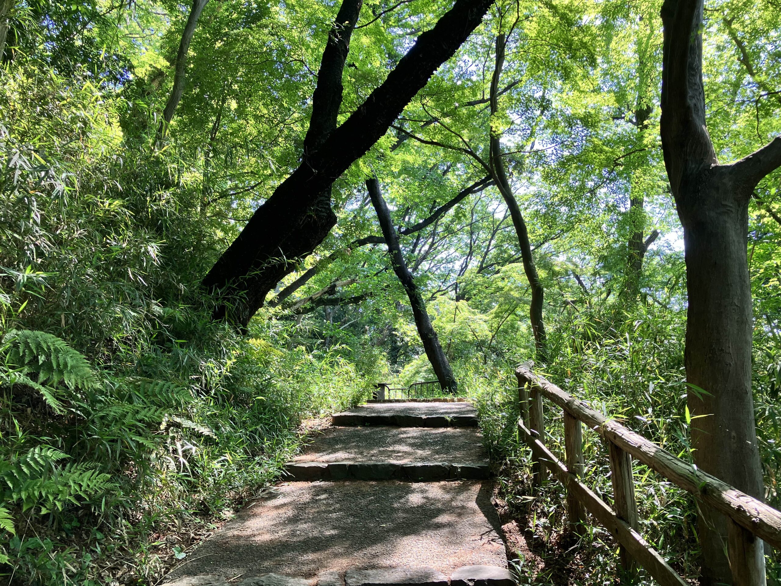 回り道もいつか役に立つ
