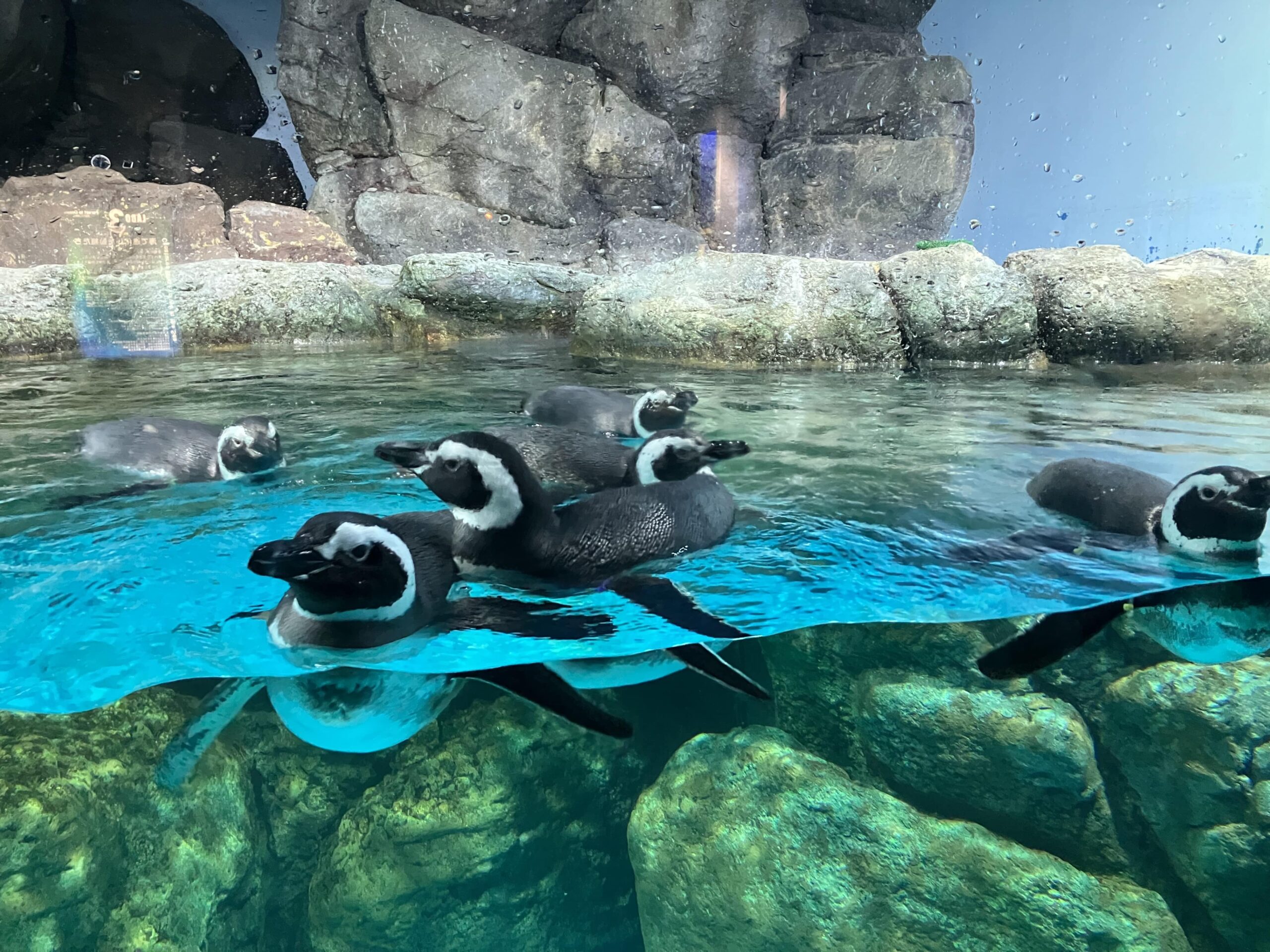 八景島シーパラダイス