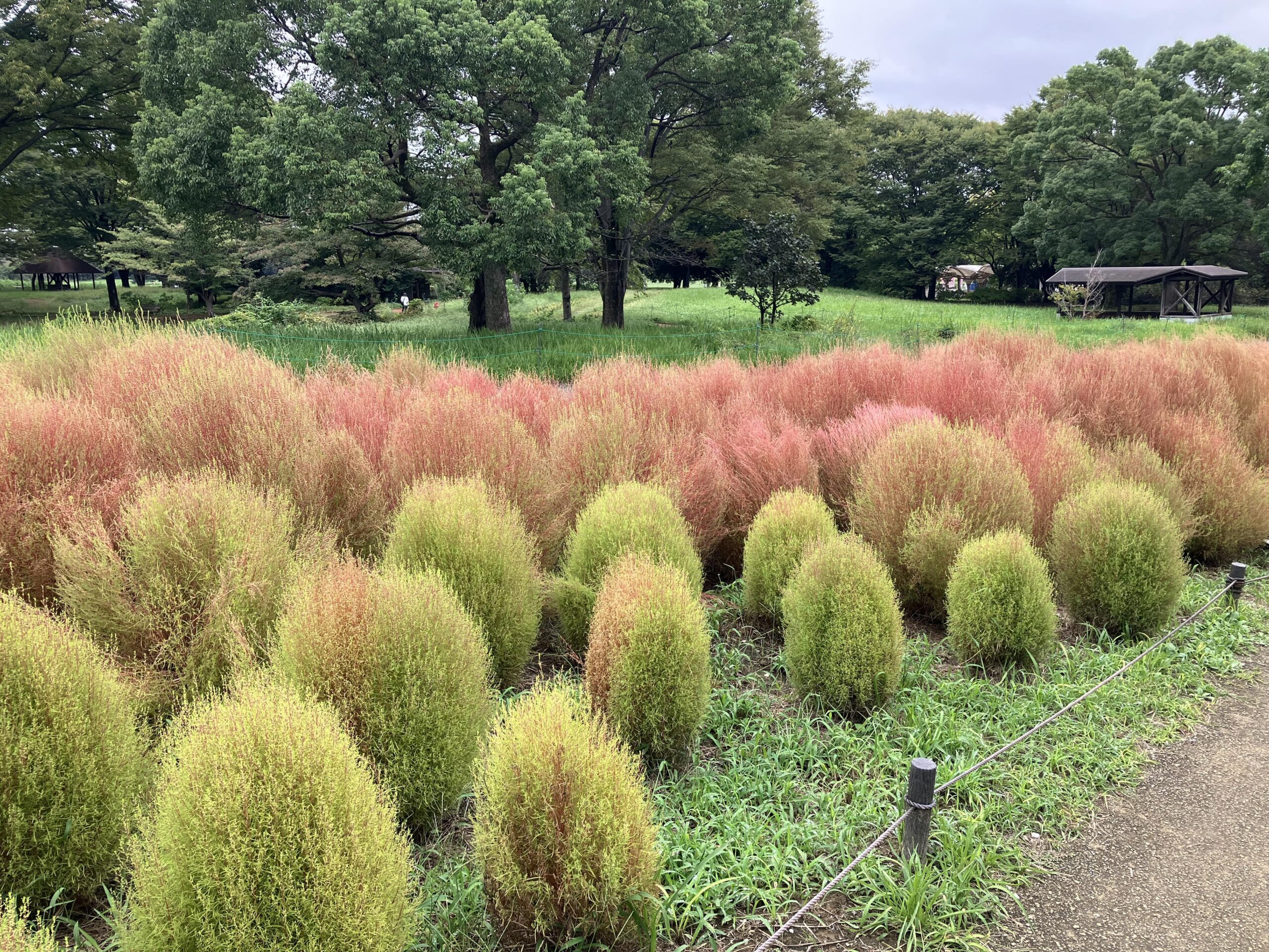目的ありきで相手を探したくない