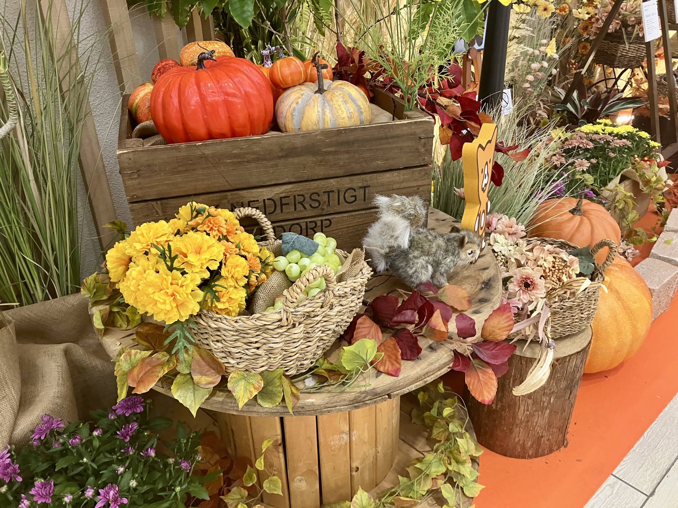 まとめ:30代、どんなことが待っているかワクワク