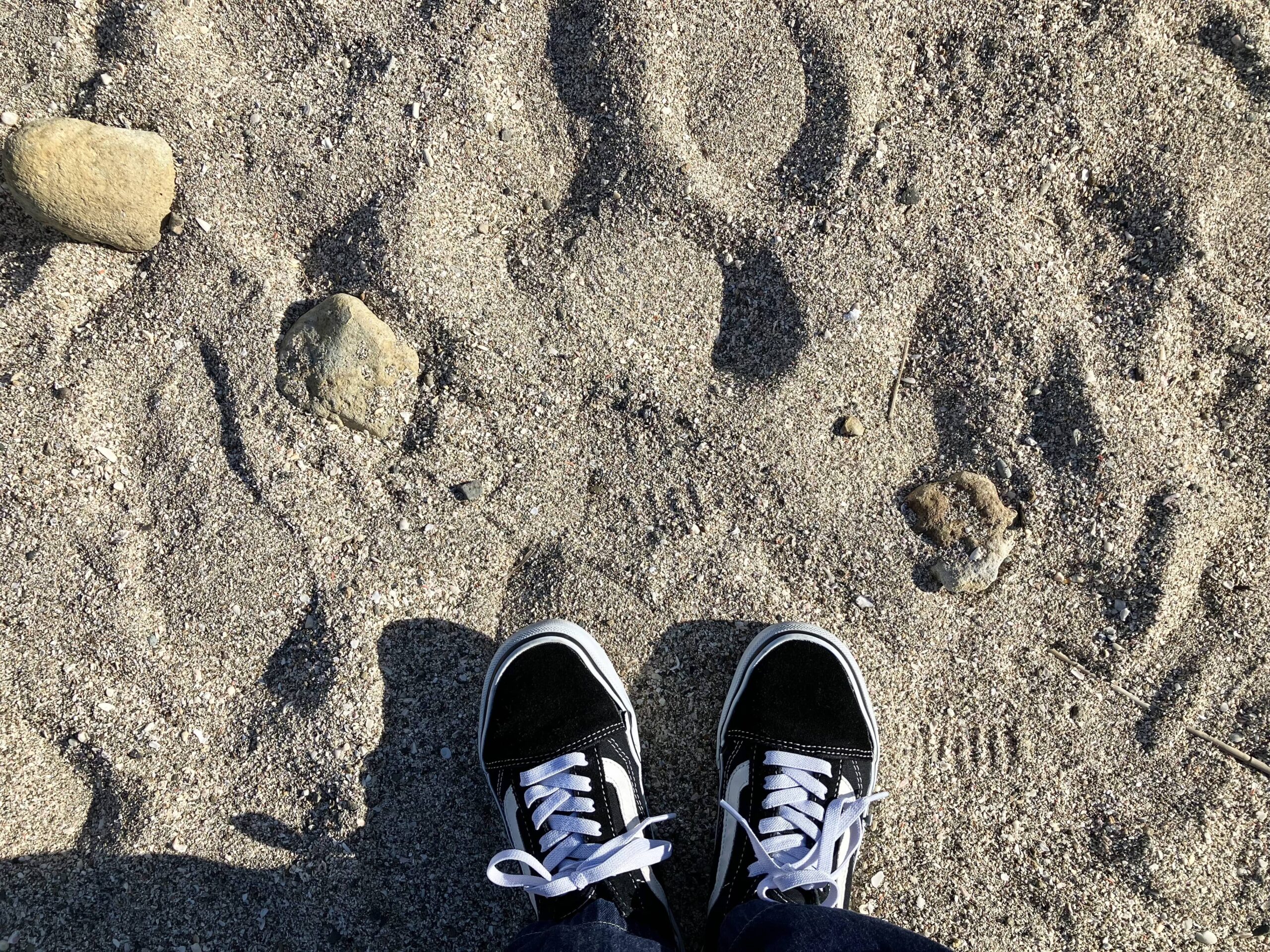 推し活は他人の物語、ダンスは自分の物語