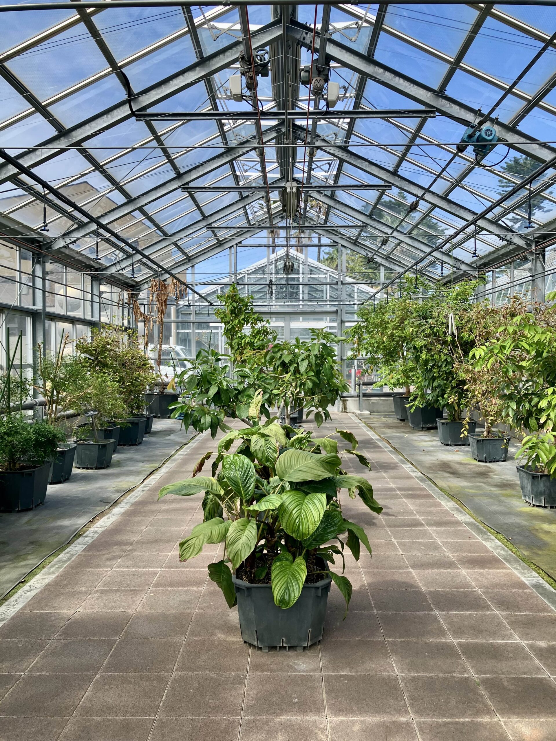 まとめ:暑さに負けず元気にすごしましょう